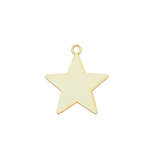Christmas star - silhouette