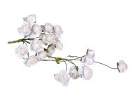 Paper Blossoms 12 pcs.  - White Roses - 22 mm